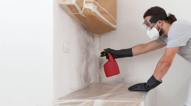 Professional Bathroom Mold Removal technician working in Empire, MI