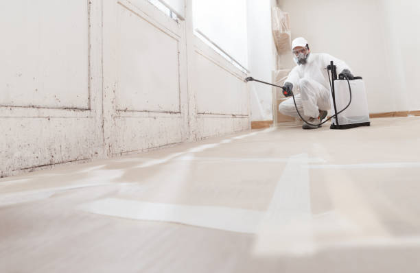 24/7 Emergency Bathroom Mold Removal experts in Empire, MI